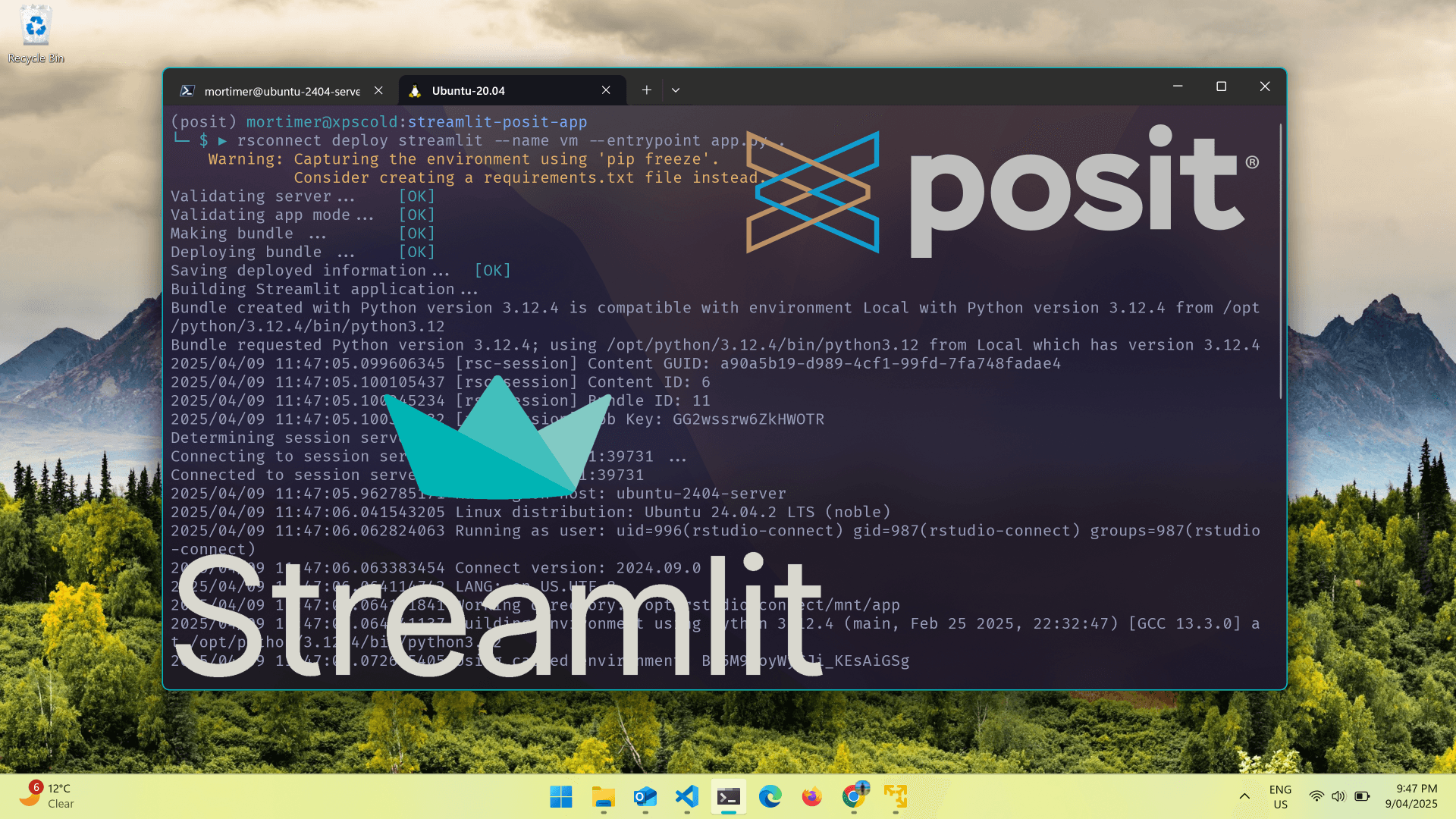 Publishing a Python Streamlit app to Posit Connect cover image