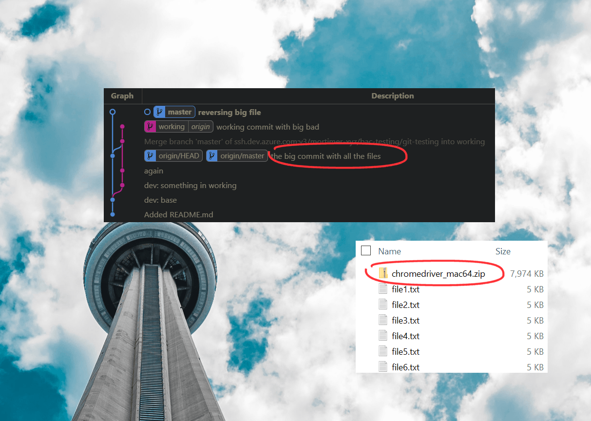 Git Cleanup cover image